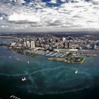 Aerial view of a coastal city with a marina, skyscrapers, waterfront buildings, and boats creating smoke trails on the water under a partly cloudy sky.