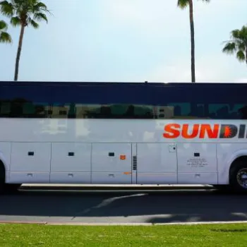 A white coach bus with "SUN DIEGO" written on the side is parked on a street lined with palm trees under a clear sky.