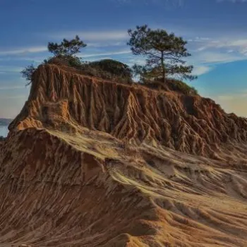 Eroded sandstone cliffs with sparse vegetation under a clear blue sky at sunset, overlooking distant hills and the ocean.