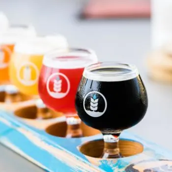A flight of six craft beers in small glasses arranged in a blue wooden holder, each with varying colors from pale yellow to dark brown.