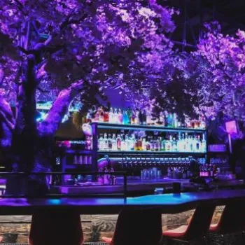 A bar with shelves of bottles, illuminated by purple lighting and decorated with large artificial cherry blossom trees, surrounded by red bar stools.