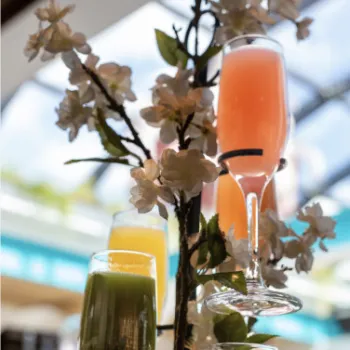 Four colorful drinks in champagne flutes are arranged on a stand decorated with white flowers, with a bright, glass-ceilinged background.