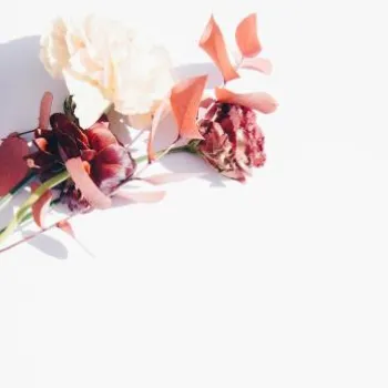 A small arrangement of dried flowers and leaves, including red, pink, and cream-colored stems, is placed on a white background with ample empty space to the right.
