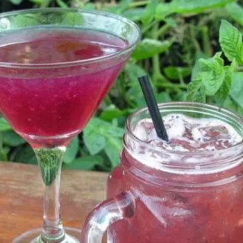 A martini glass and a mason jar glass, both filled with a purple beverage; the martini glass has a blackberry garnish. Green foliage in the background.
