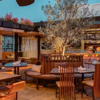 Modern rooftop restaurant with wooden tables, cushioned seating, a central tree, and a backlit bar lined with stools, under an open sky.