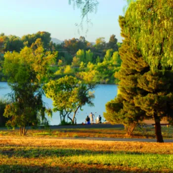 A sunlit park with green trees, a grassy field, and a lake in the background. A few people are gathered near the water's edge.