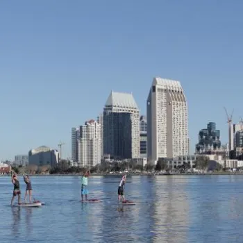 Five people paddleboarding on calm water with a city skyline and clear blue sky in the background.