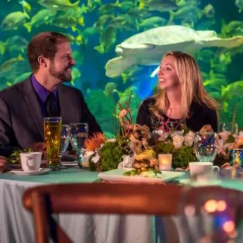 Four people sit at a round table with food and drinks, dining in front of a large aquarium filled with fish and a turtle.