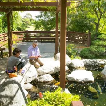 A group of people stand and sit by a wooden pergola next to a pond with rocks and greenery in a garden setting.