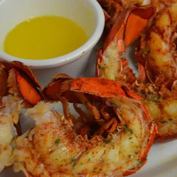 Cooked lobster tails served on a white plate with a side of melted butter, a lemon wedge, and a sprig of cilantro.