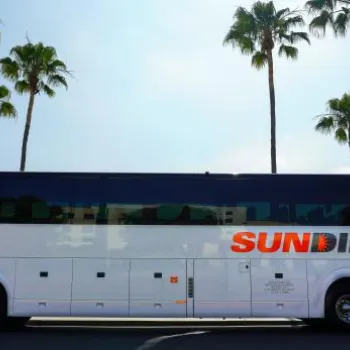 A white tour bus with "SUN DIEGO" written on the side is parked on a street lined with palm trees under a clear sky.