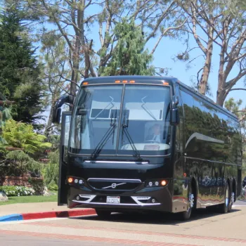 A black Volvo charter bus is parked on the street near trees and greenery, with a group of people standing in the background on a sunny day.