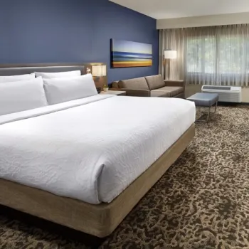 Hotel room with a king-sized bed, sofa, desk with chair, TV, and window with sheer curtains; modern decor and carpeted floor.