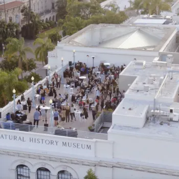 A group of people attend an outdoor event on the rooftop terrace of the Natural History Museum, surrounded by trees and nearby buildings.