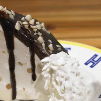 A slice of ice cream pie topped with chocolate sauce and chopped nuts, served with a dollop of whipped cream on a plate with two spoons.