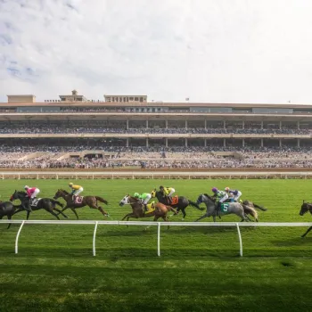 A group of jockeys on horses race along a grass track in front of a large grandstand filled with spectators.