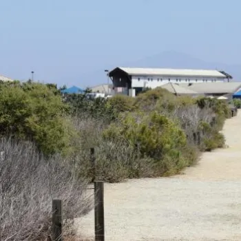 Dirt path surrounded by shrubs leads toward buildings with a mountain visible in the distant background under a clear sky.