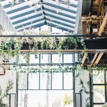 Bright, open industrial space with exposed beams, hanging greenery, a glass ceiling, ceiling fans, and large windows letting in natural light.