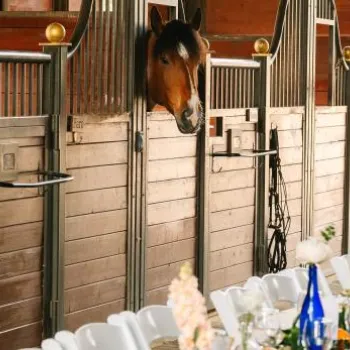 A long dining table set with flowers and tableware is arranged in front of horse stalls, with a brown horse looking over a stall door.