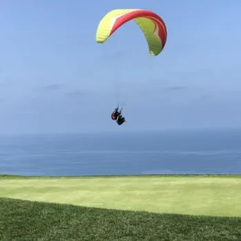 Two paragliders fly over a golf course green near the ocean under a clear blue sky; a yellow flag is visible on the putting green.