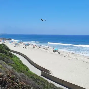 A wide sandy beach with people, umbrellas, and gentle waves; palm trees and greenery line the walkway, under a clear blue sky with two birds flying.