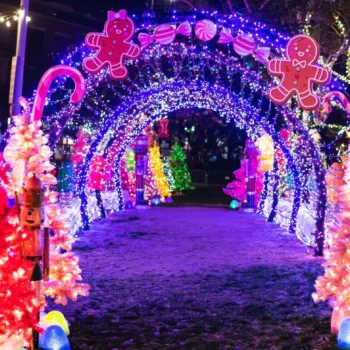 A festive tunnel decorated with colorful lights, candy canes, gingerbread figures, and bright Christmas trees, leading through a holiday display at night.