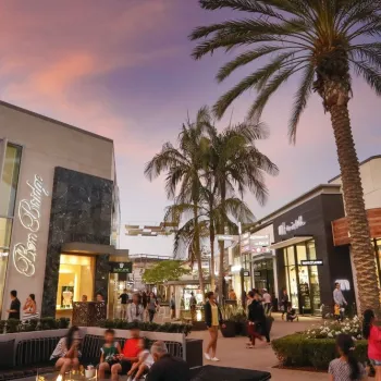 Simple Solutions to Holiday Shopping