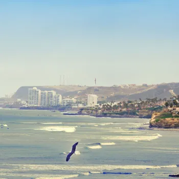 Baja's Unique Regions