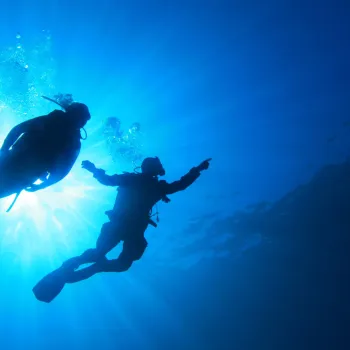 Scuba Diving in San Diego