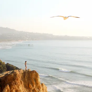 Has Never Been Easier