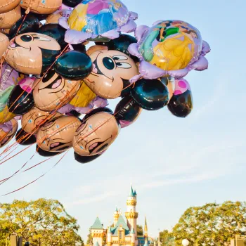 Take a day trip to Disneyland!