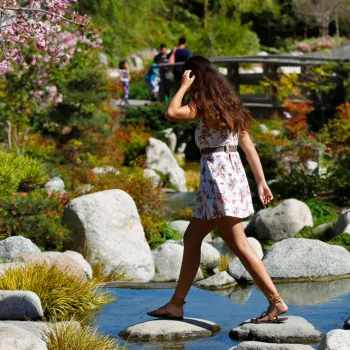 Spring Clean Your Mind, Body and Spirit in San Diego: A Guide to Recharge, Reset and Declutter Internally 