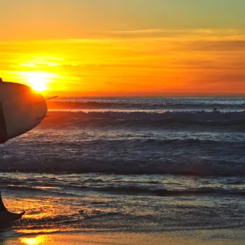 San Diego Surf Scene - Inside Scoop