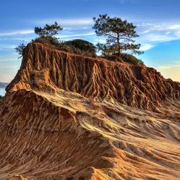La France à San Diego n'a jamais été aussi facile