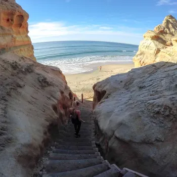 TORREY PINES STATE NATURAL RESERVE