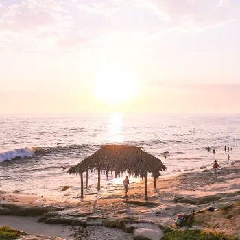 21 Things to Do and Love in San Diego in 2021