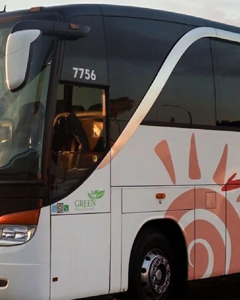 Motor Coach Tours & Transportation