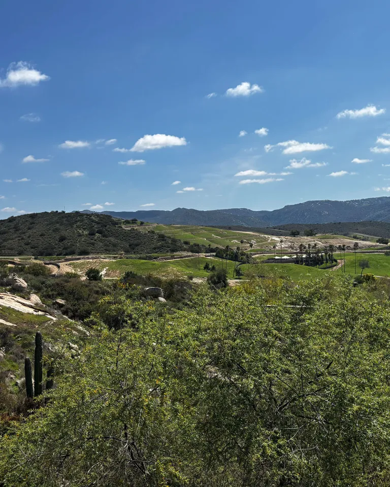 Hilly landscape with green fields, scattered trees, cacti, and distant mountains under a blue sky with clouds.