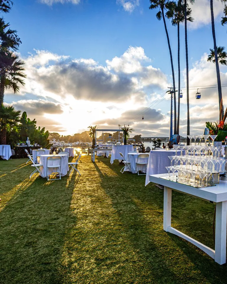 Outdoor event setup on a grassy lawn with tables, chairs, and a refreshment station, under tall palm trees at sunset.