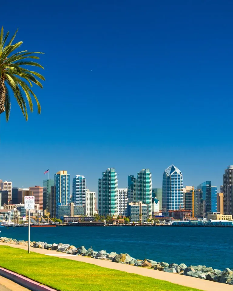 Downtown San Diego skyline with modern high-rise buildings, a palm tree, and waterfront under a clear blue sky.