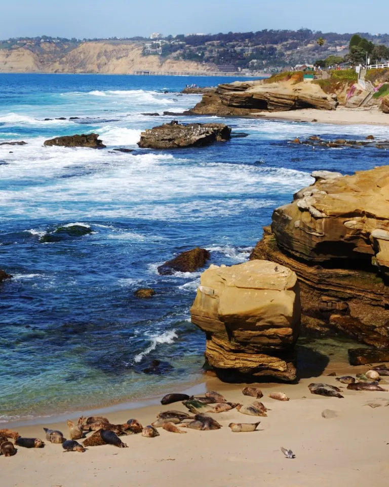 Rocky shoreline with waves crashing, sea lions resting on the sandy beach, and cliffs in the background under a clear sky.