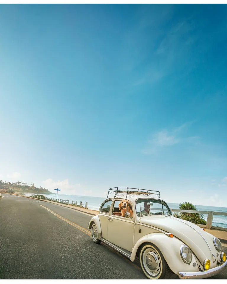 A classic white Volkswagen Beetle with two people and a dog inside drives along a coastal road under a clear blue sky.