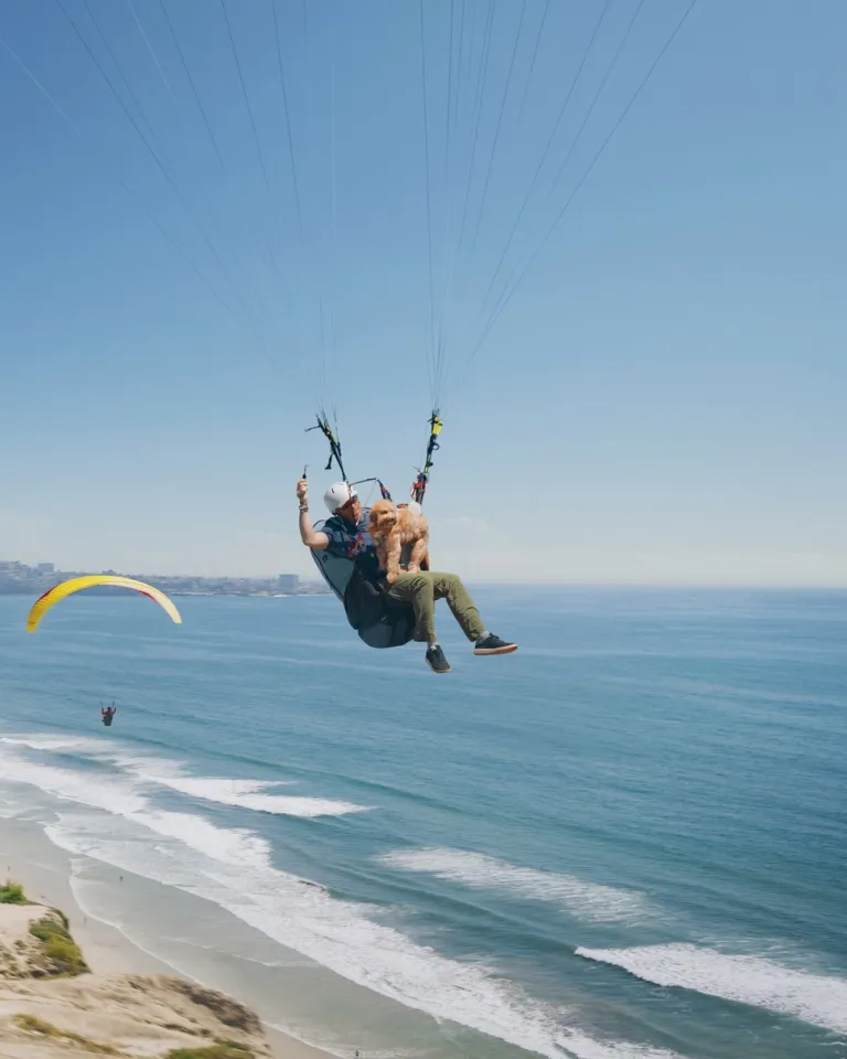 Paragliders soar above coastal cliffs and the Pacific Ocean on a clear day in San Diego, with waves breaking along the shoreline below.