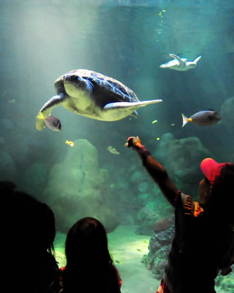 Exciting 2-Day Itineraries