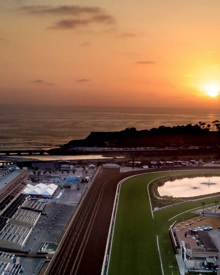 7 Reasons to Plan a Luxurious Breeders' Cup Trip