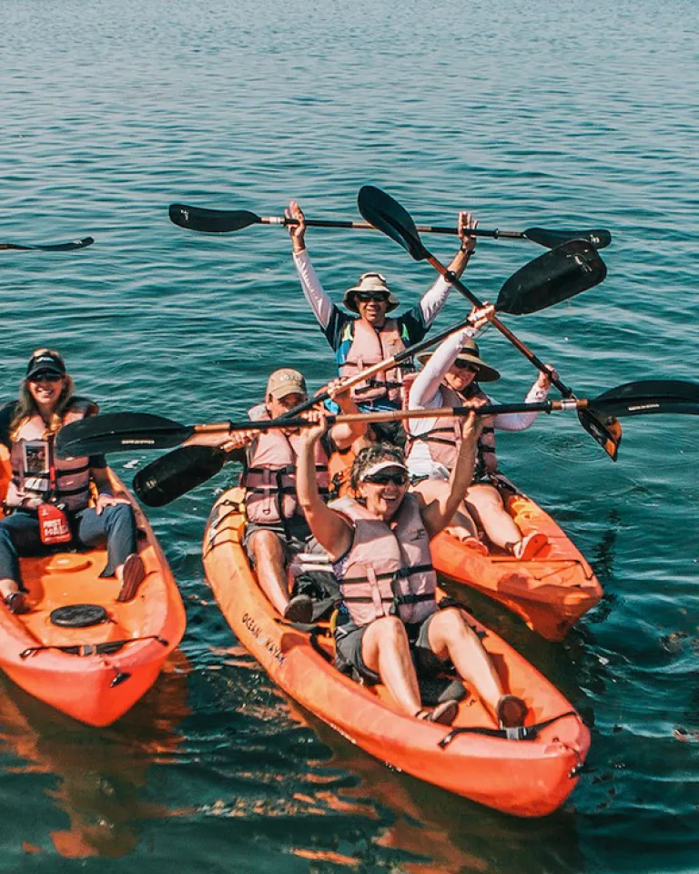 Great Ways for Groups to Give Back in San Diego 