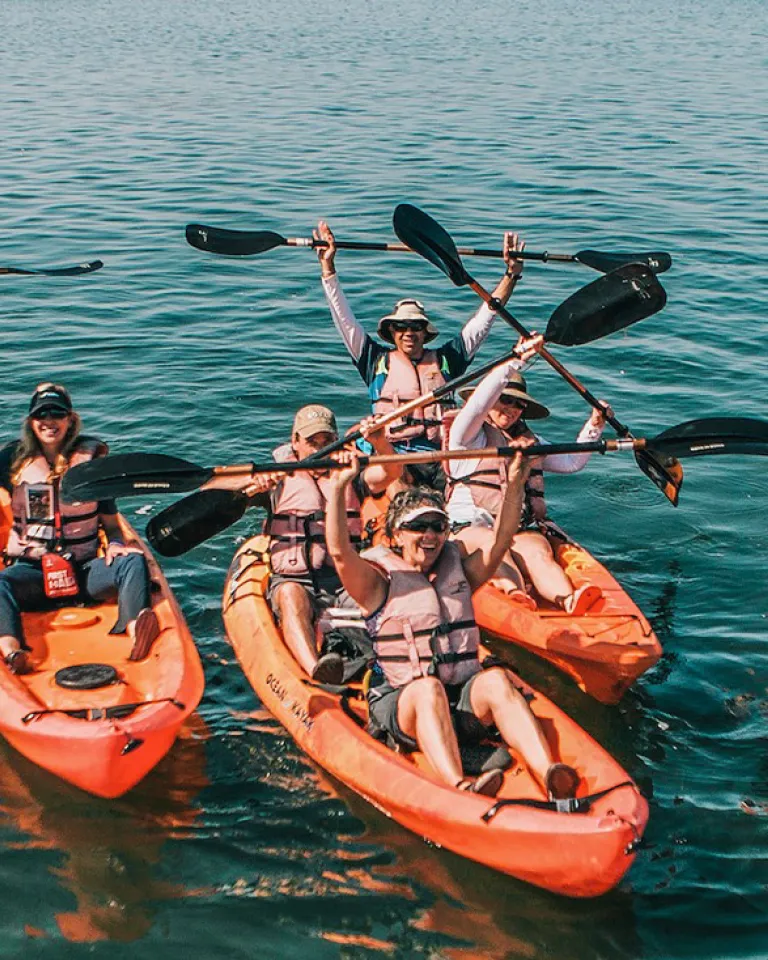 Great Ways for Groups to Give Back in San Diego 