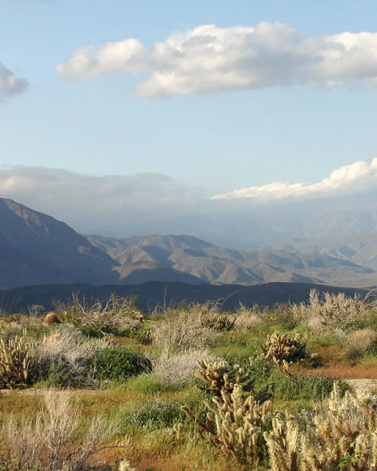 Inland Valleys, Mountains & Deserts 