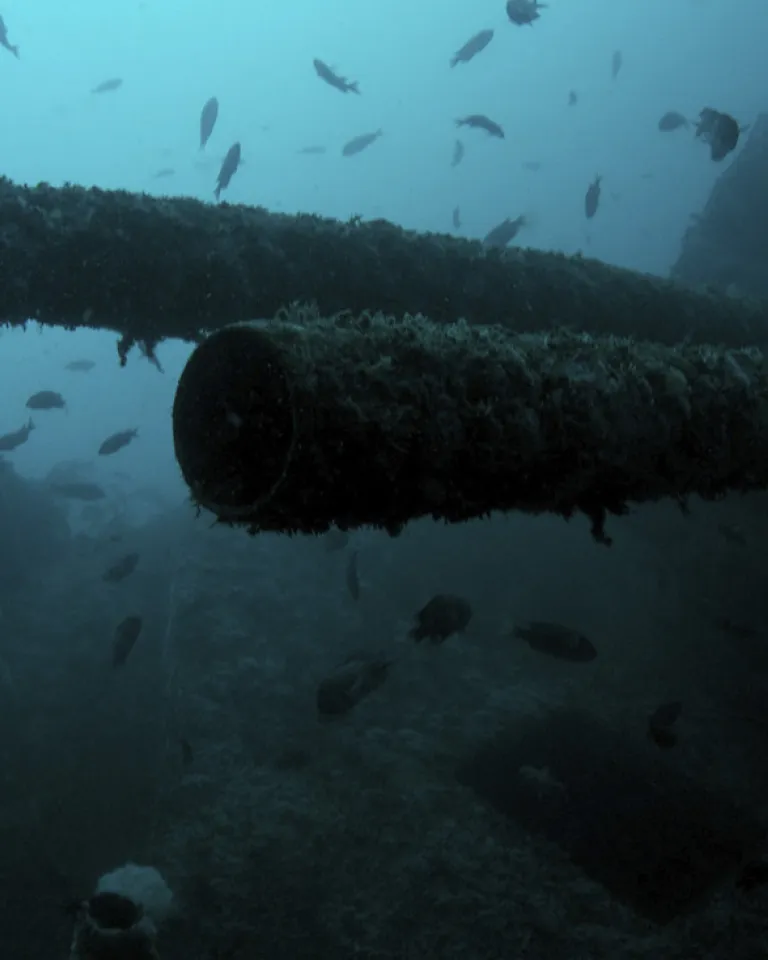 The HMCS Yukon Dive in San Diego