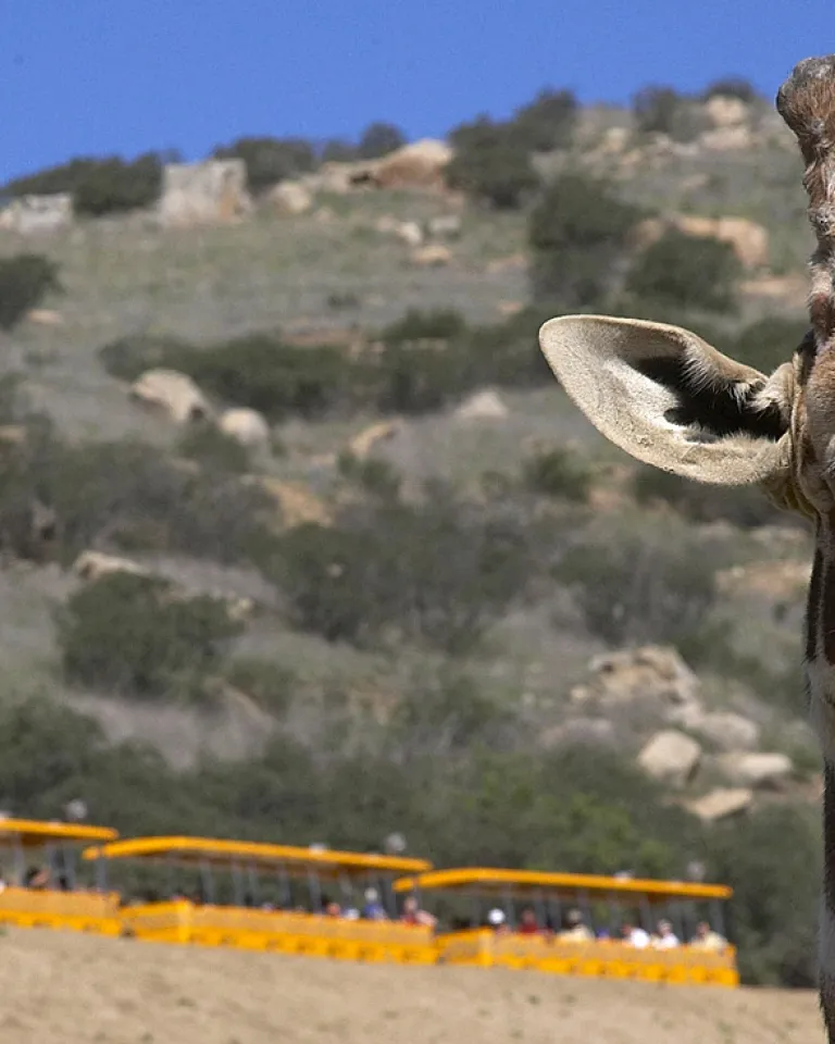 Action Packed 3-Day Itineraries